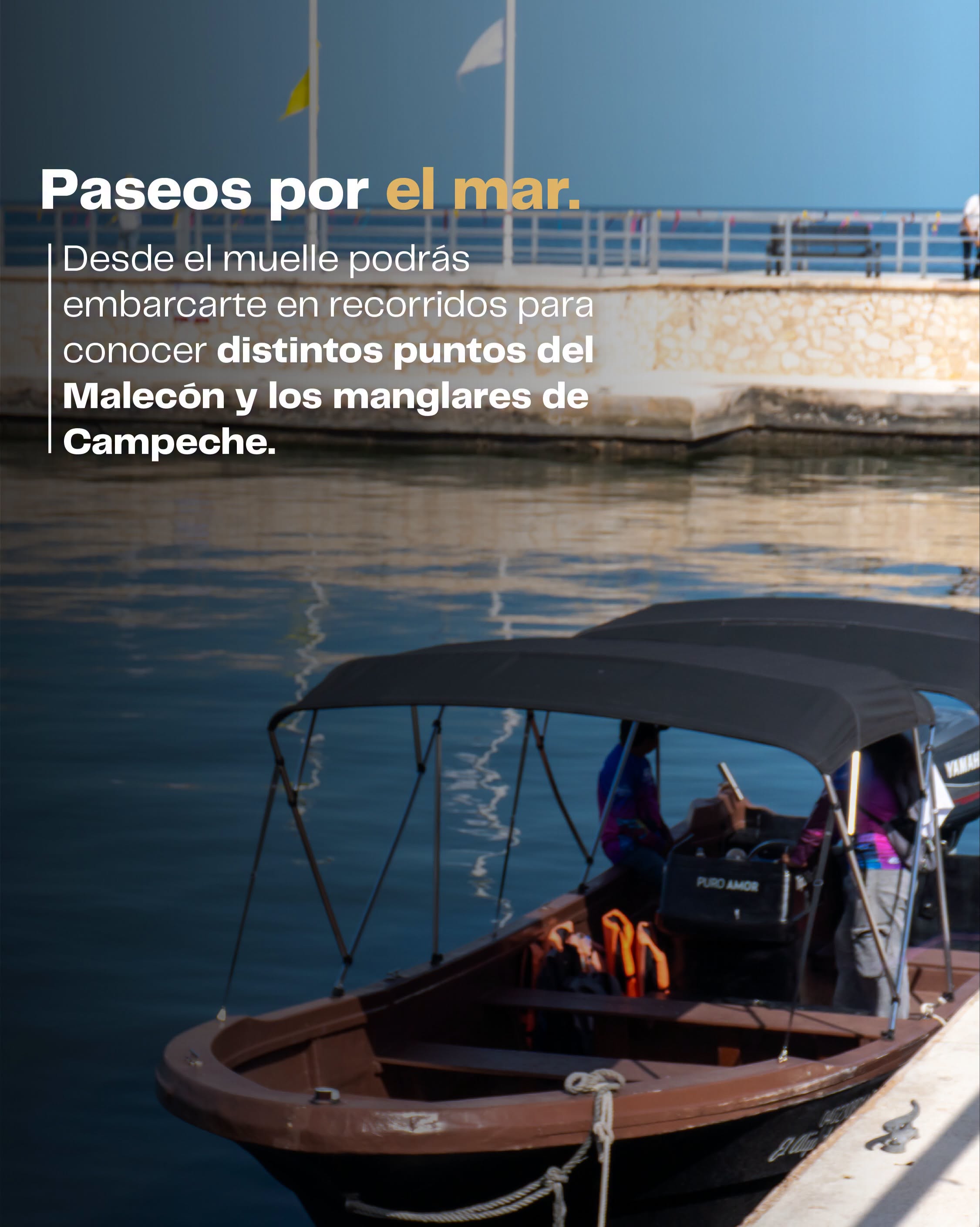 Descubre campeche desde el mar: navega la bahía y los manglares en el muelle ‘rosa de los vientos’ la revista del sureste mx Muelle ‘Rosa De Los Vientos Campeche