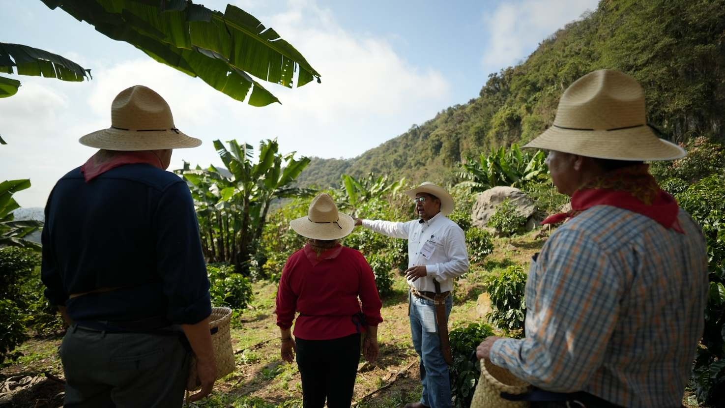 De Norte A Sur Descubre Cuatro Experiencias De Turismo Comunitario Veracruz