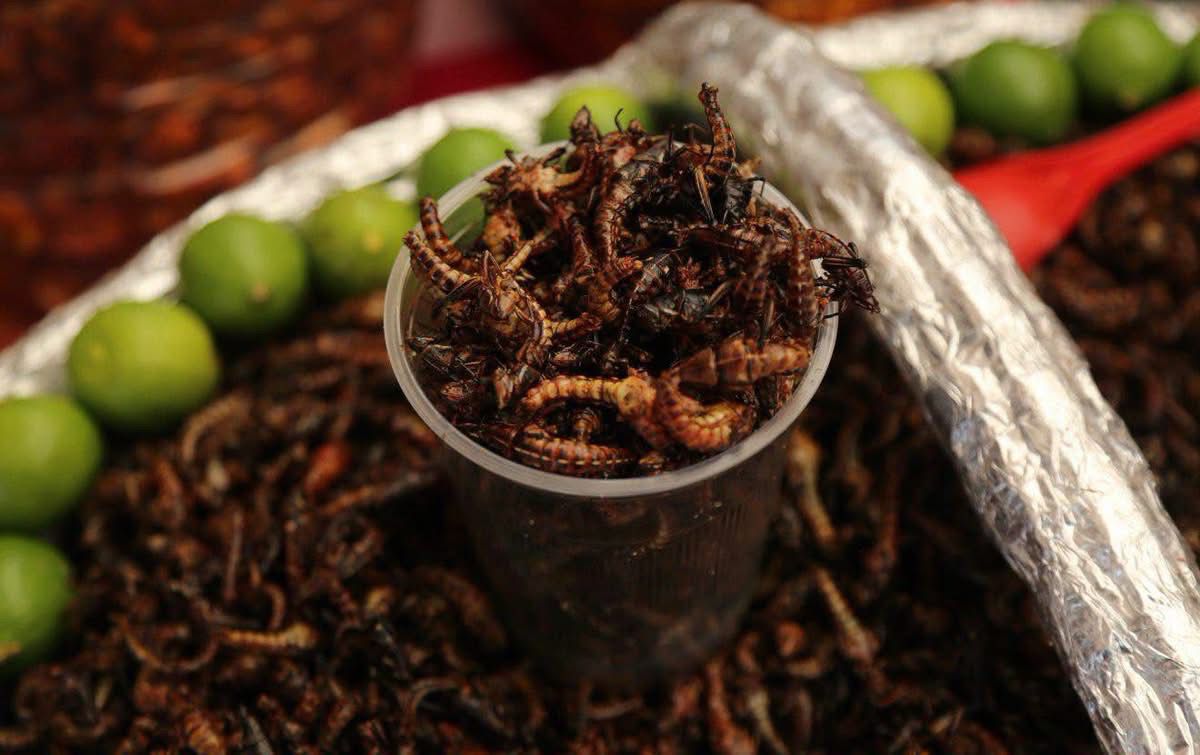 La marquesa se llena de sabores con el primer encuentro gastronómico mexiquense “saberes y sabores de mi tierra” la revista del sureste mx Vaso Transparente Lleno De Chapulines Tostados Tradicionales, Servidos Sobre Una Bandeja Con Más Insectos Comestibles Y Limones Verdes.