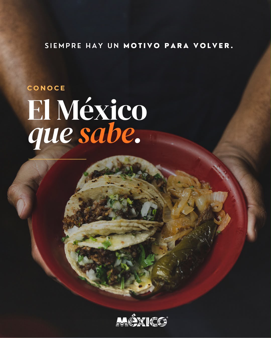“siempre hay un motivo para volver”: sectur lanza ambiciosa estrategia para reconquistar el turismo nacional e internacional la revista del sureste mx Siempre Hay Un Motivo Para Volver Sectur Lanza Ambiciosa Estrategia Para Reconquistar El Turismo Nacional E Internacional 2