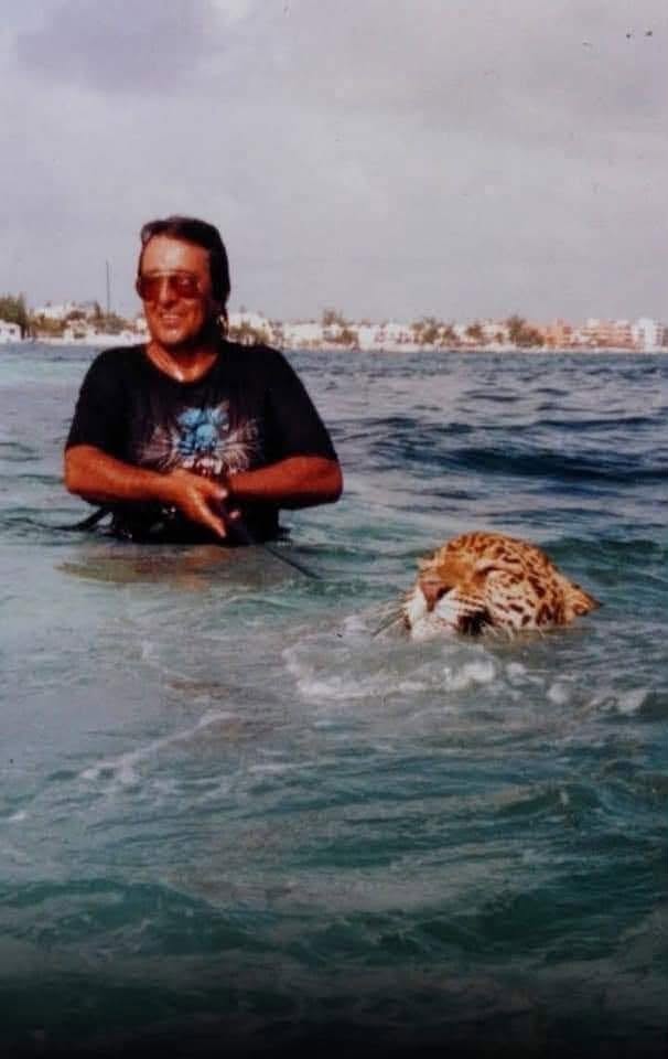 Tigres, jaguares y pumas: el calvario y la polémica detrás del caso de "pepe tigre" en cancún la revista del sureste mx Tigres Jaguares Y Pumas El Calvario Y La Polemica Detras Del Caso De Pepe Tigre En Cancun 3