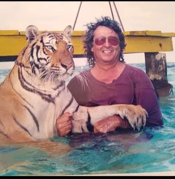 Tigres, jaguares y pumas: el calvario y la polémica detrás del caso de "pepe tigre" en cancún la revista del sureste mx Fotografía De Archivo Que Muestra A José Juárez Gil, Conocido Como &Quot;Pepe Tigre&Quot;, Sonriendo Junto A Un Tigre De Gran Tamaño Dentro Del Mar En Cancún.