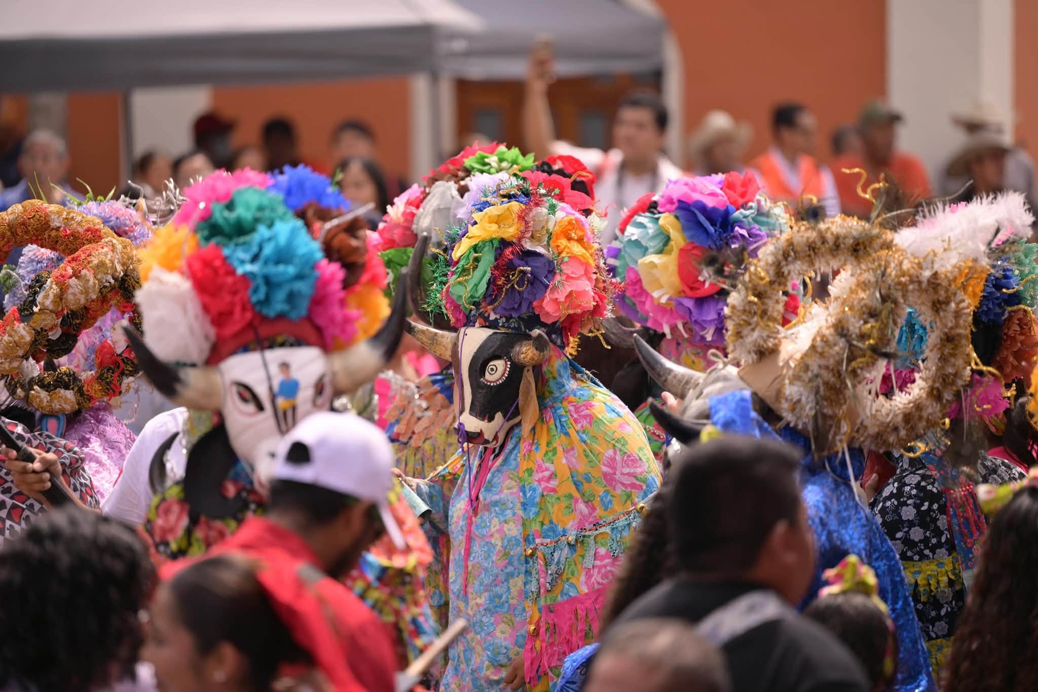 Veracruz En Octubre 2026 Festivales Y Actividades Culturales Que Vale La Pena Seguir 3