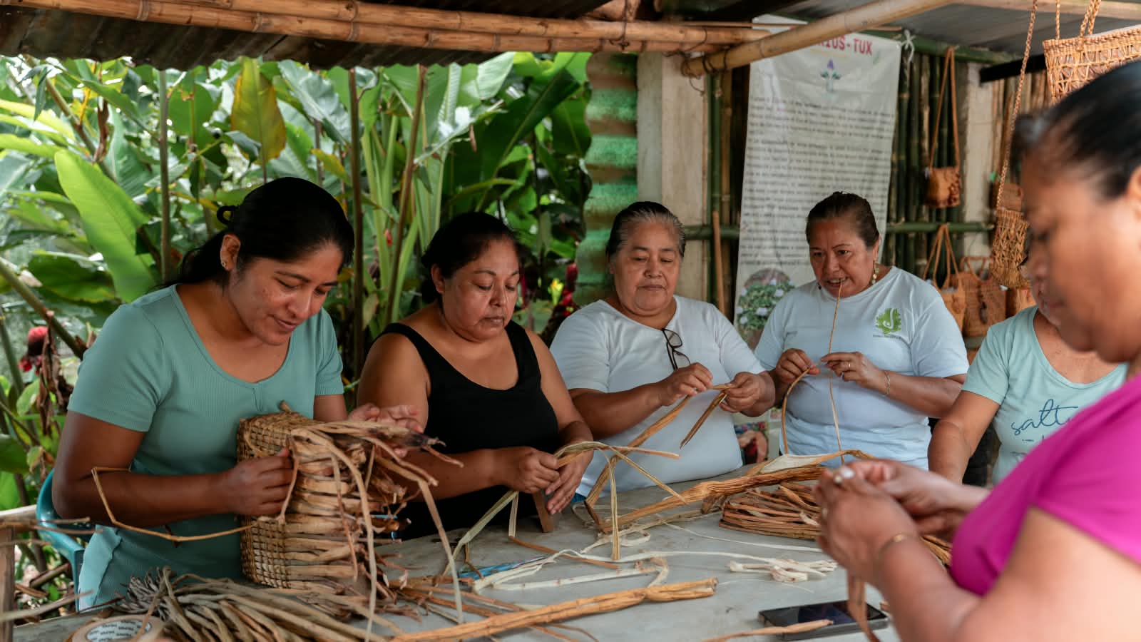 Veracruz Impulsa El Turismo Comunitario