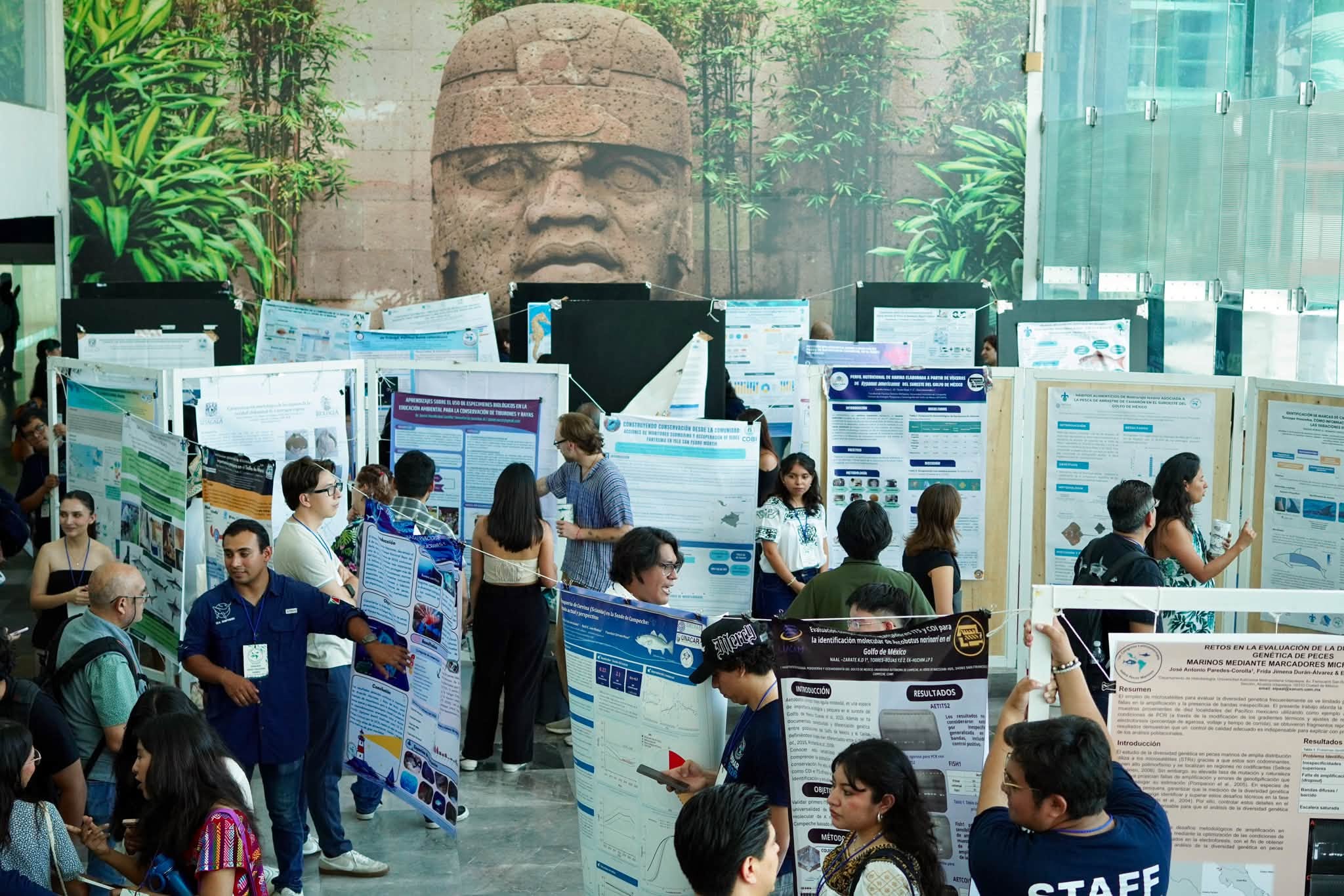 Veracruz reúne ciencia y conservación marina en congreso latinoamericano y Expo Cool Planet