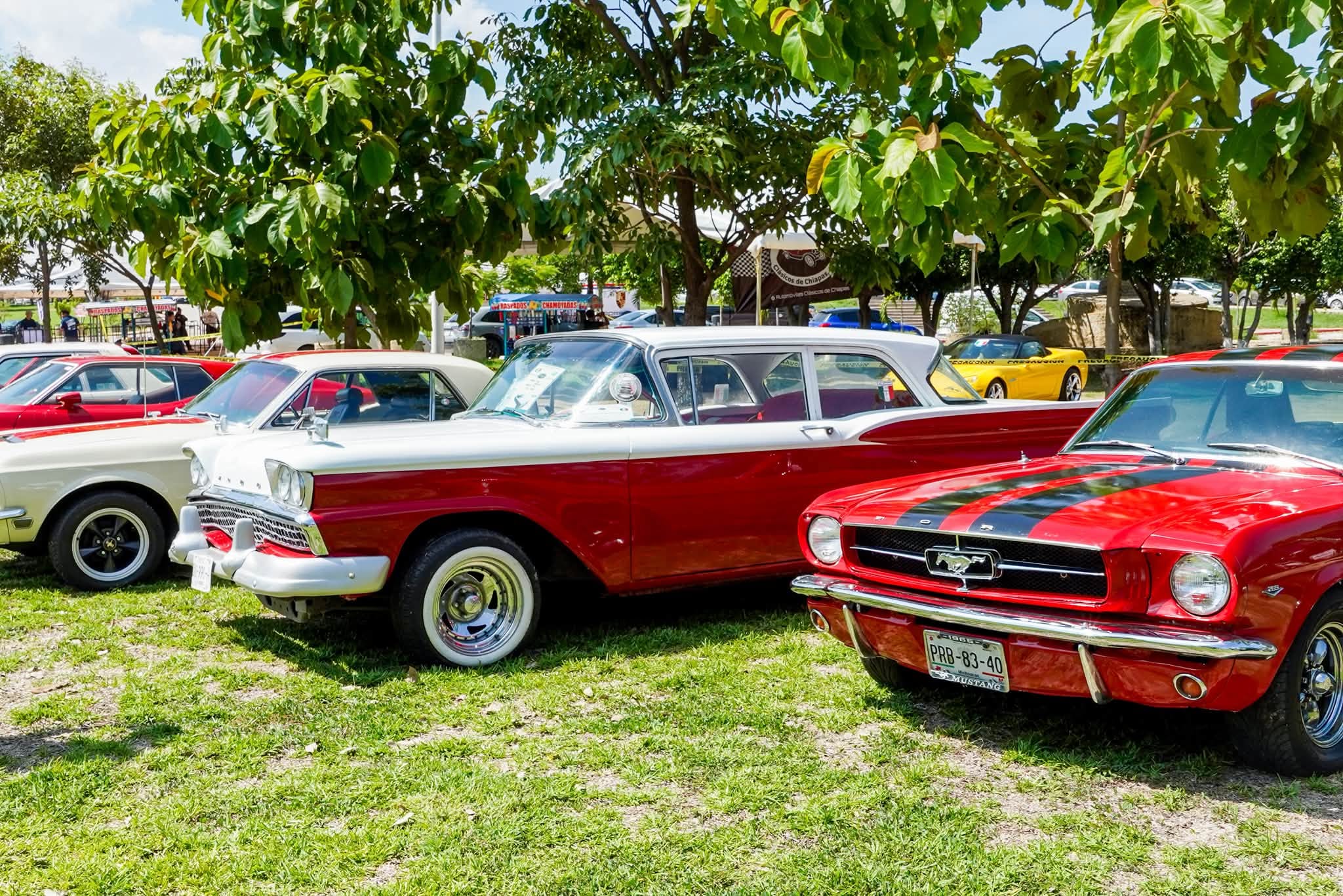 Carrera Panamericana 2026 Ruta De Chiapas A Veracruz Fechas Y Donde Ver Los Autos Clasicos 2