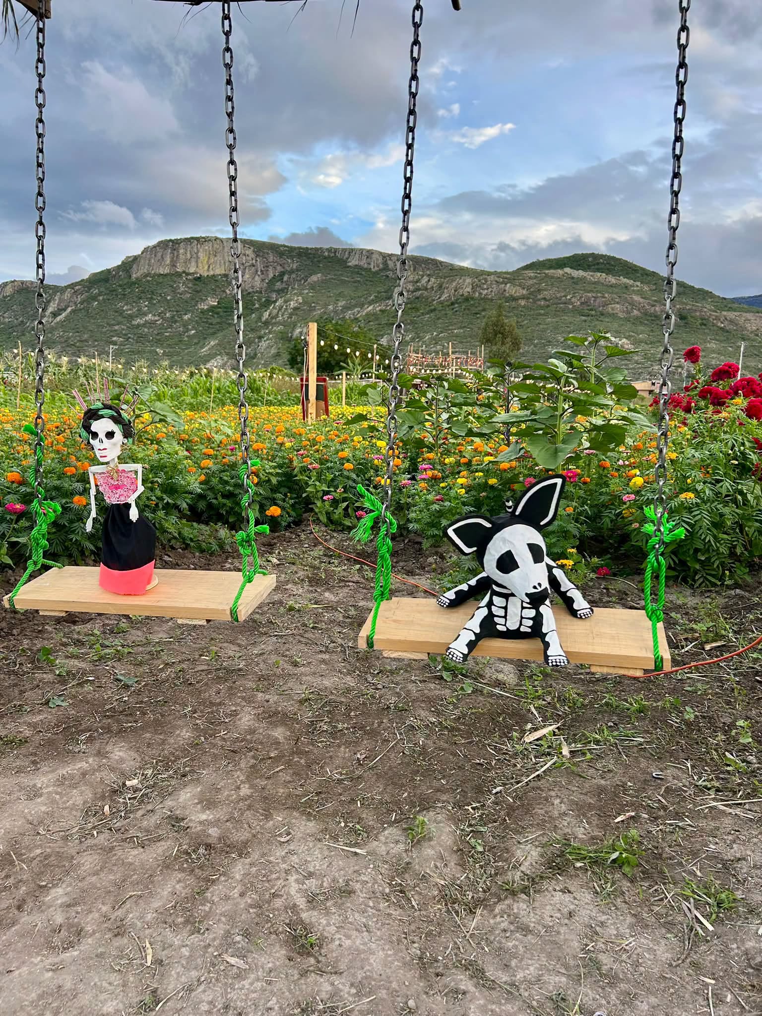 El Valle De Tlacolula Se Viste De Color Con El Festival De La Flor De Muerto En Union Zapata Oaxaca 5