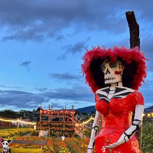 El Valle De Tlacolula Se Viste De Color Con El Festival De La Flor De Muerto En Unión Zapata, Oaxaca