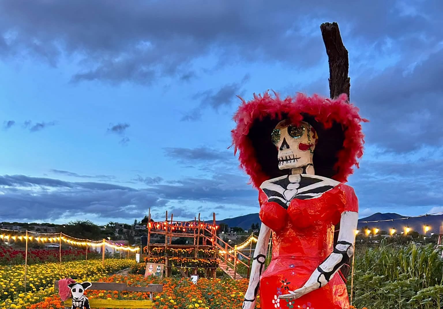 El valle de tlacolula se viste de color con el festival de la flor de muerto en unión zapata, oaxaca la revista del sureste mx El Valle De Tlacolula Se Viste De Color Con El Festival De La Flor De Muerto En Unión Zapata, Oaxaca