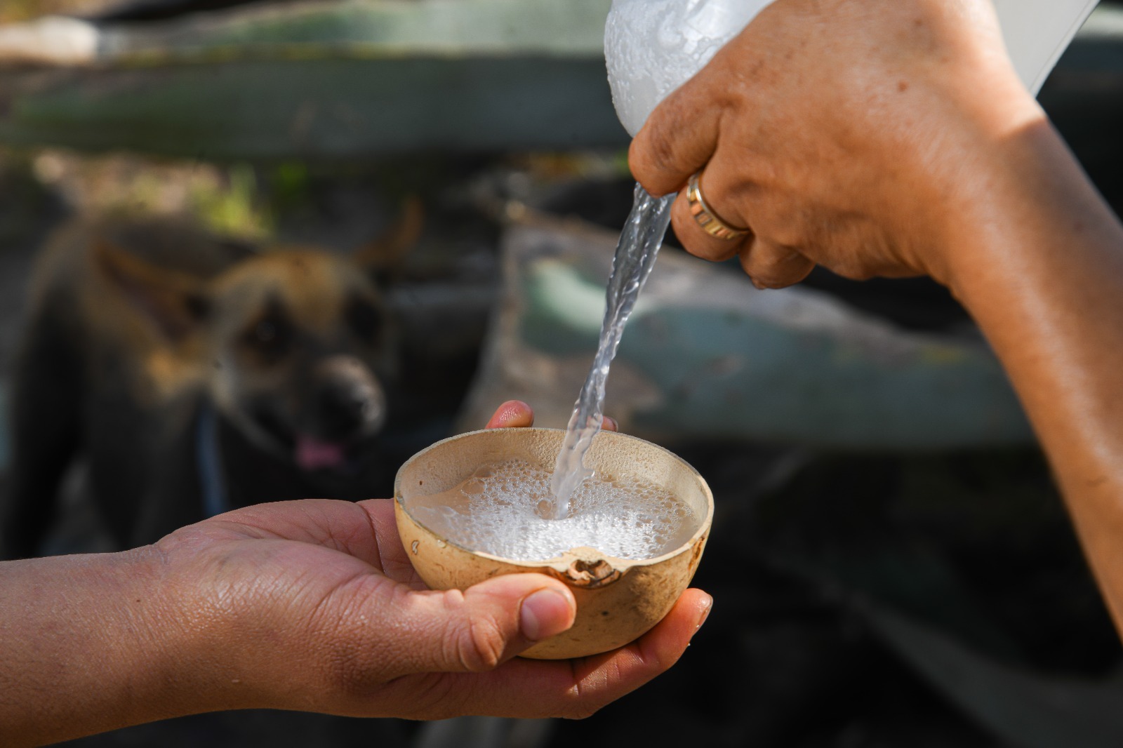El Motor Mezcalero De Mexico Oaxaca Lidera La Produccion Y Exportacion Global Del Destilado Ancestral 3