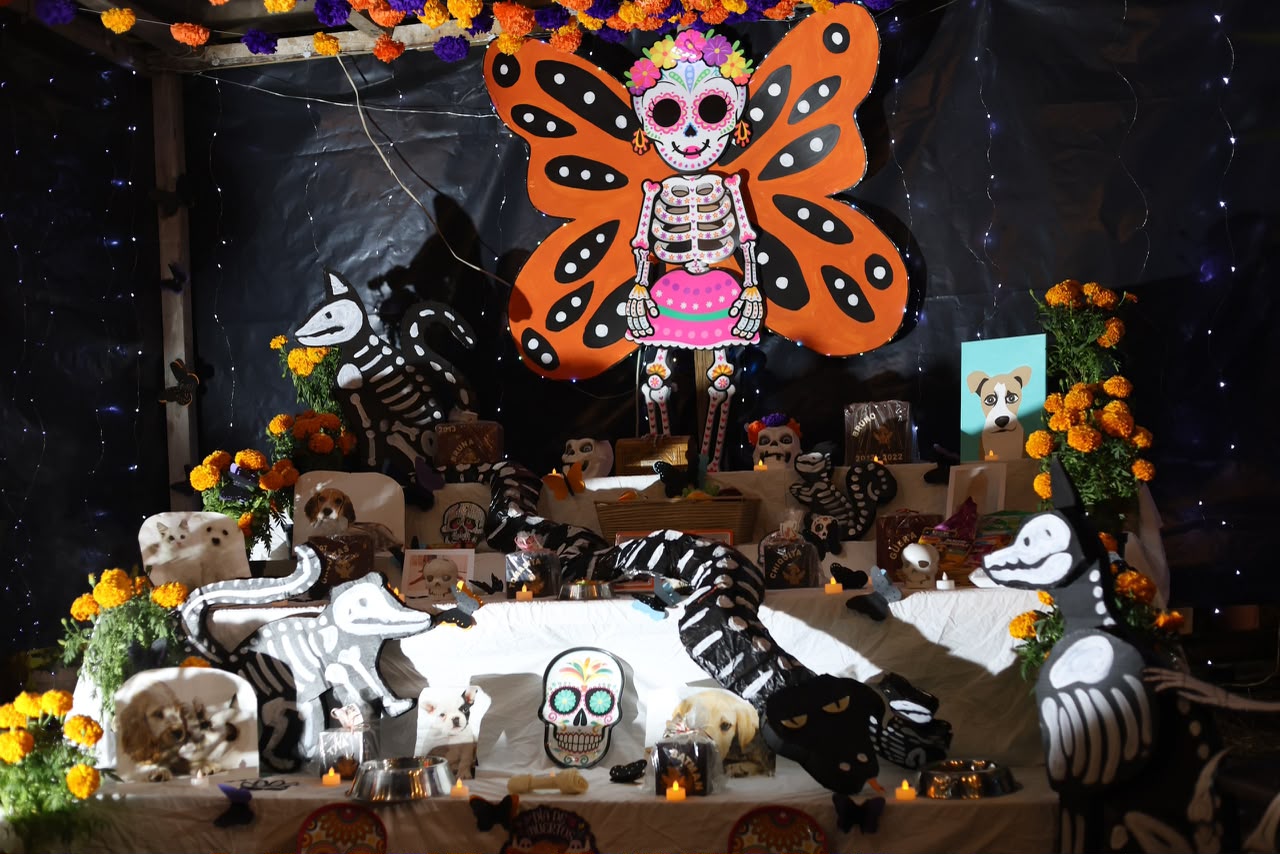 En cancún se fortalecen las tradiciones mexicanas la revista del sureste mx En Cancun Se Fortalecen Las Tradiciones Mexicanas 3