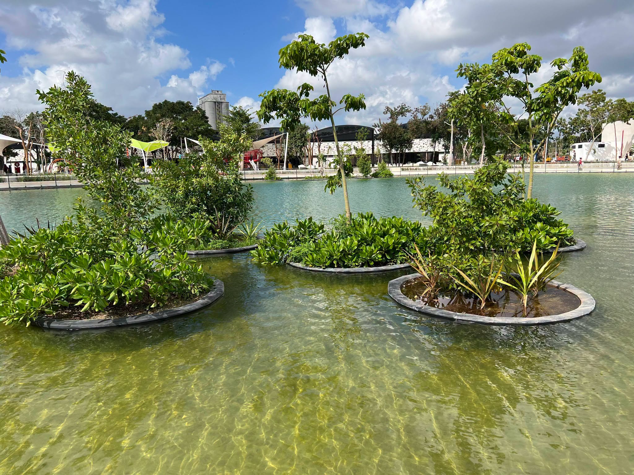 Naegleria en mérida: restringen contacto con agua en seis lagos artificiales la revista del sureste mx Naegleria En Mérida: Restringen Contacto Con Agua En Seis Lagos Artificiales