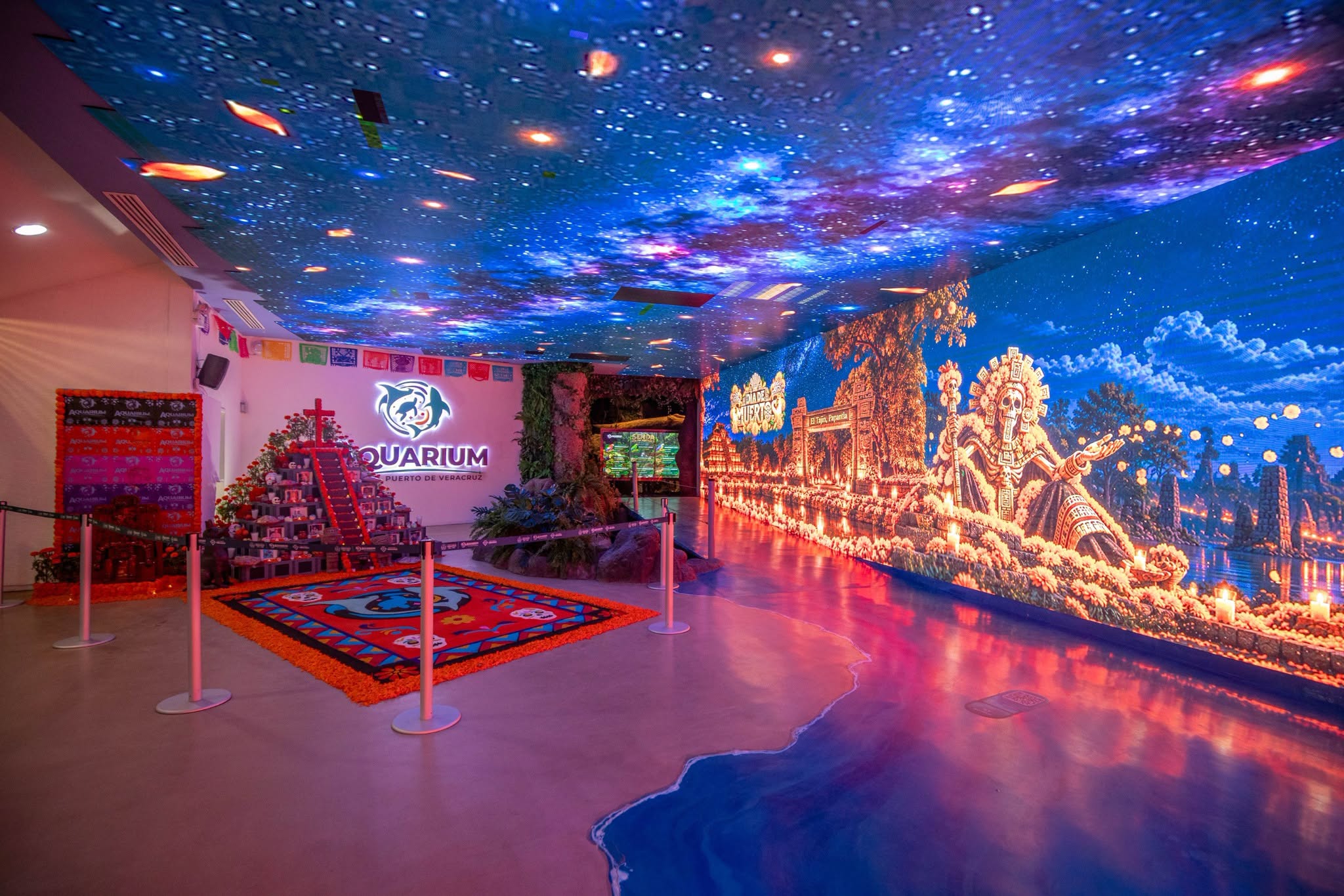 Noche De Leyendas En El Aquarium De Veracruz 2026: Fechas, Horarios Y Senda De Los Tuxtlas