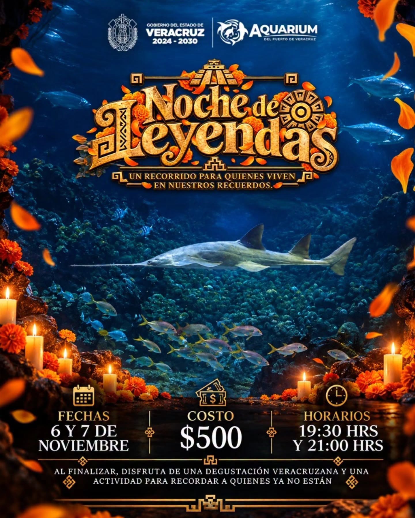Noche de leyendas en el aquarium de veracruz 2026: fechas, horarios y senda de los tuxtlas la revista del sureste mx Noche De Leyendas En El Aquarium De Veracruz 2026: Fechas, Horarios Y Senda De Los Tuxtlas