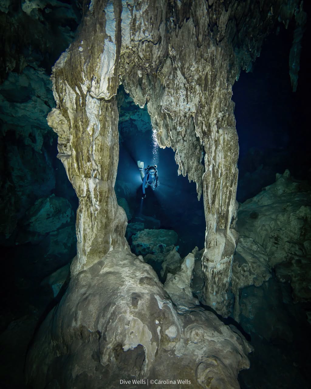 Quintana Roo Presenta Guia De Buceo En Cuevas Y Cavernas Que Se Sabe Y Por Que Importa 4